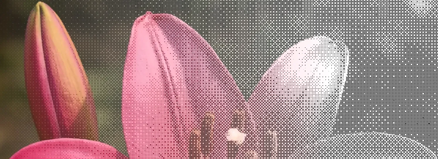 masked dither image of a flower